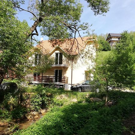 Vila Vrh Crni Vrh Εξωτερικό φωτογραφία