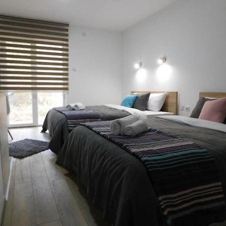 Vila Vrh Crni Vrh Εξωτερικό φωτογραφία