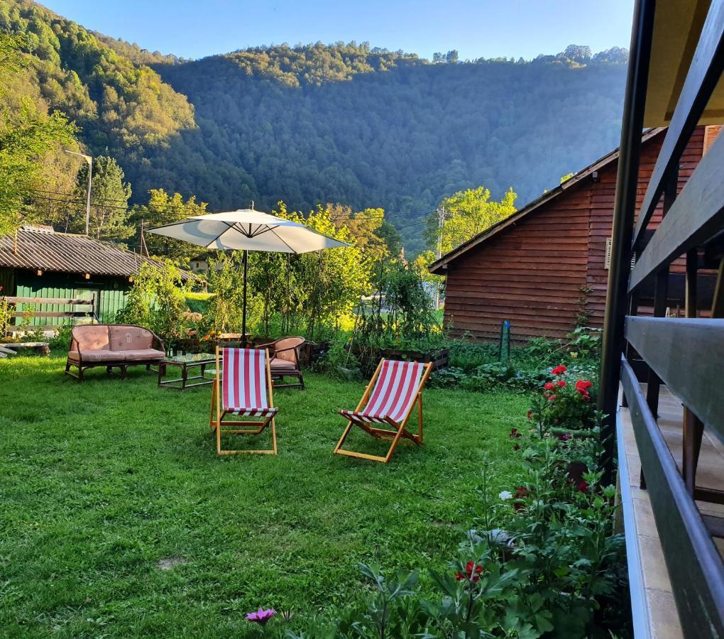 Vila Vrh Crni Vrh Εξωτερικό φωτογραφία