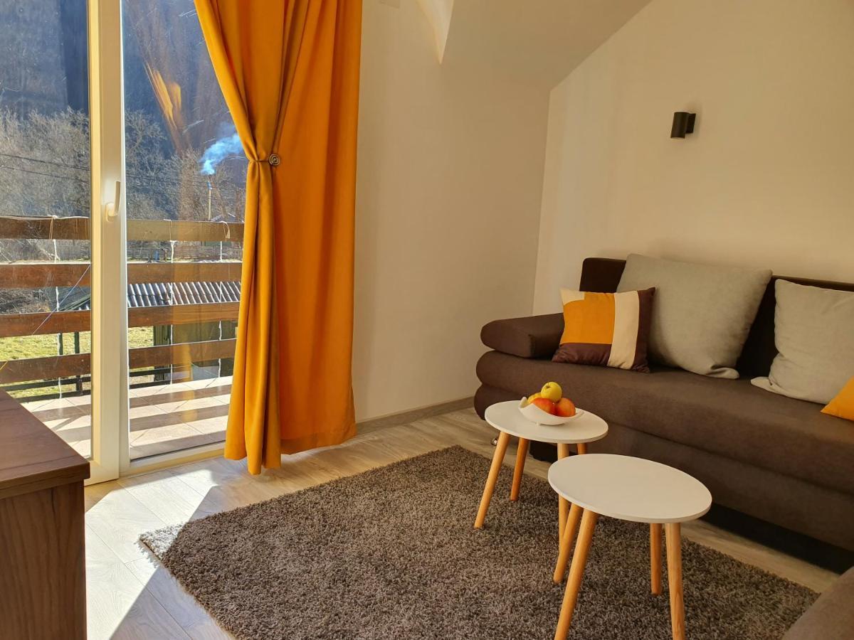 Vila Vrh Crni Vrh Εξωτερικό φωτογραφία