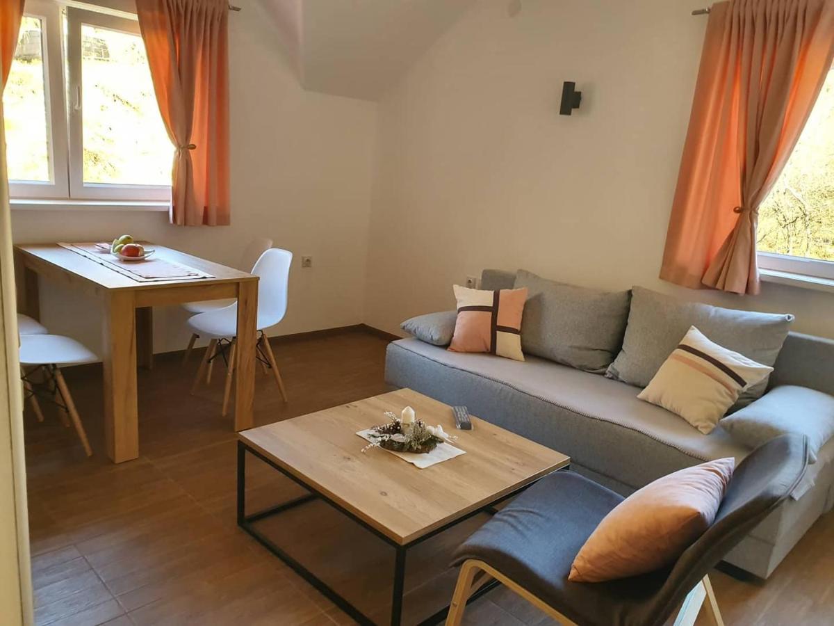 Vila Vrh Crni Vrh Εξωτερικό φωτογραφία