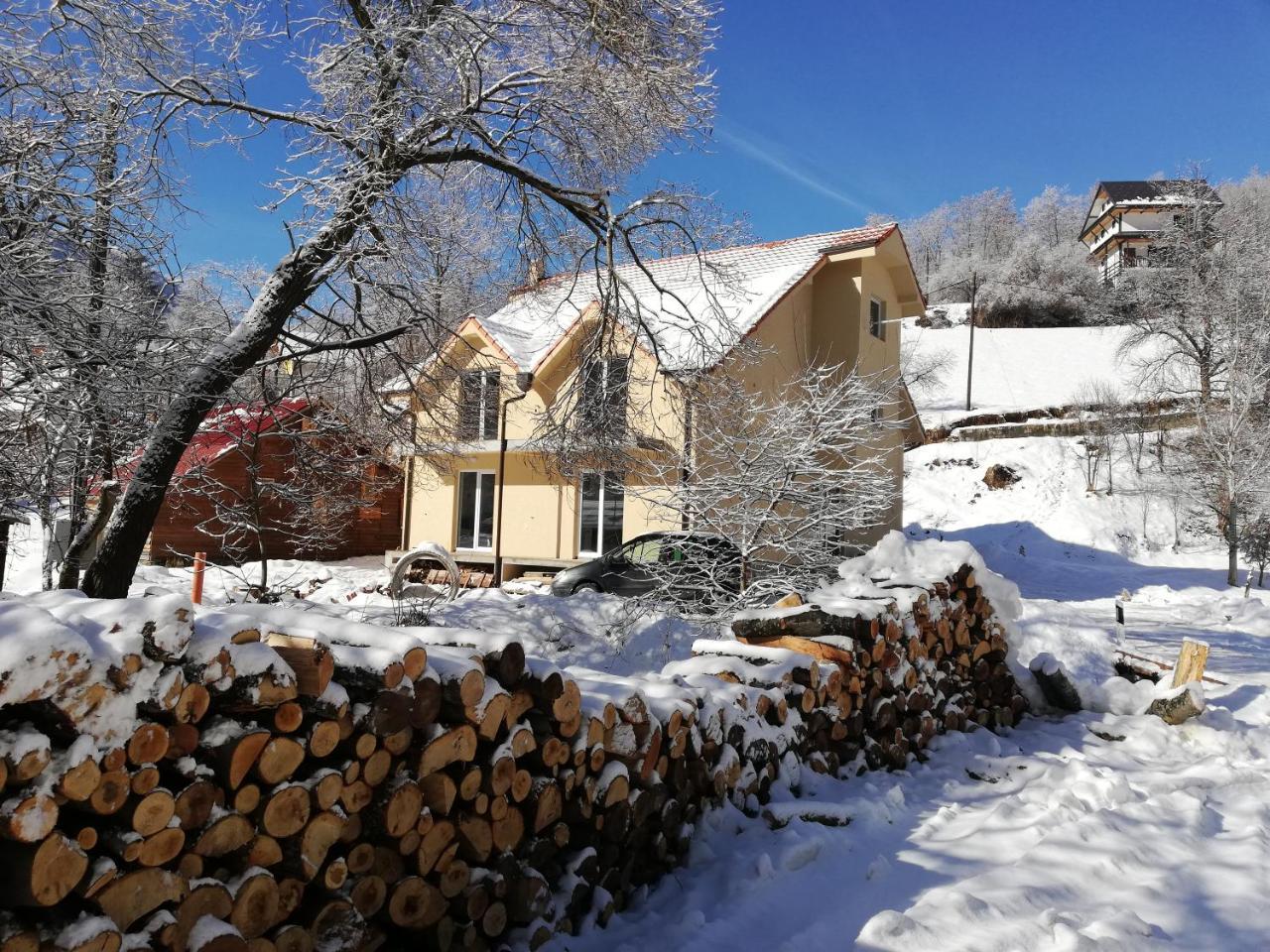 Vila Vrh Crni Vrh Εξωτερικό φωτογραφία
