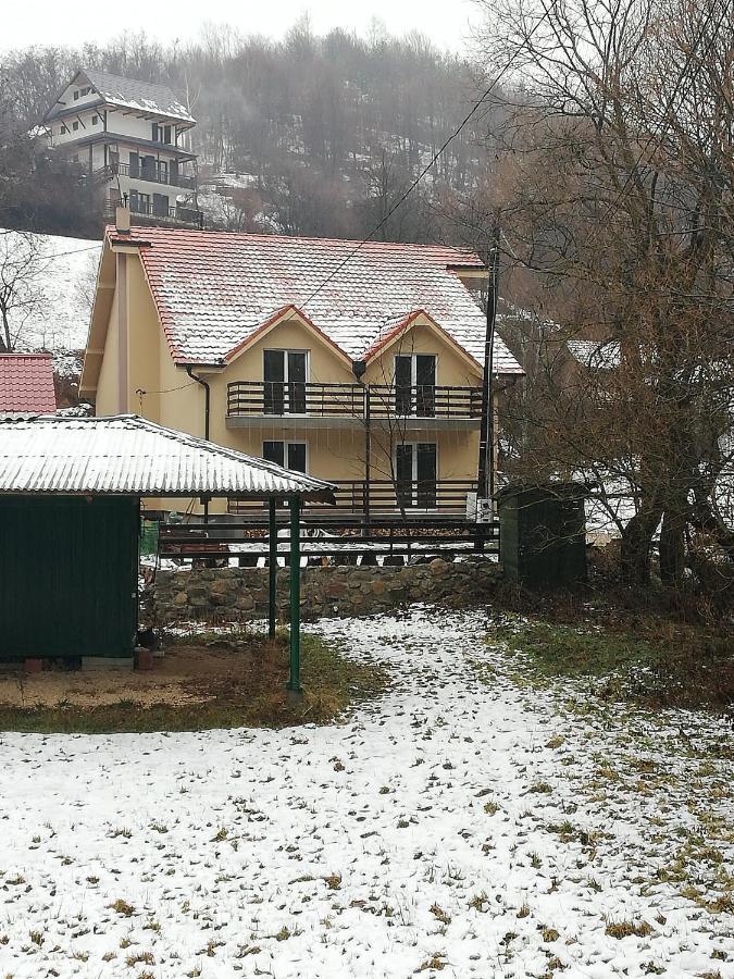 Vila Vrh Crni Vrh Εξωτερικό φωτογραφία