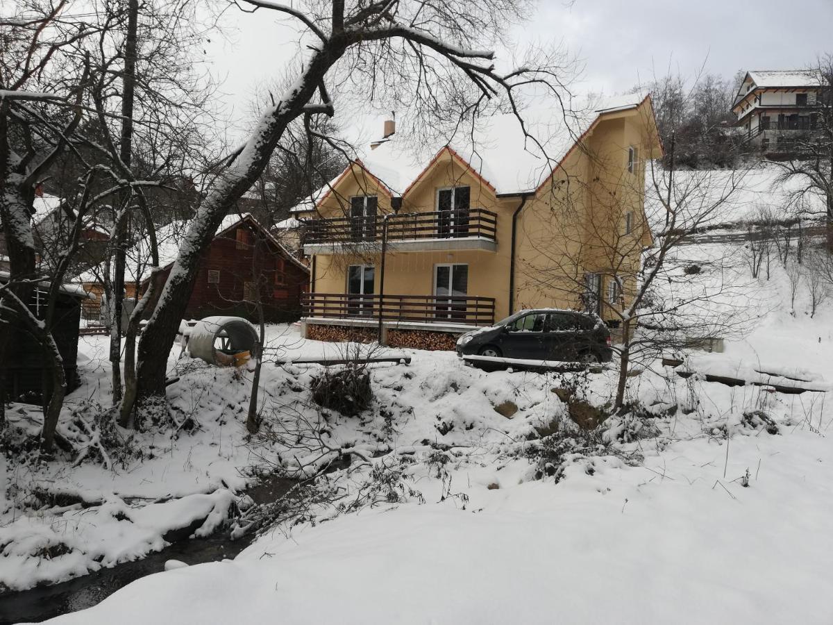 Vila Vrh Crni Vrh Εξωτερικό φωτογραφία